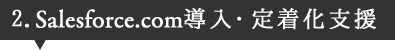 2.Salesforce.com導入・定着化支援